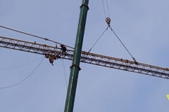 50083